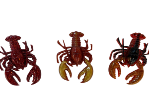 Lobster